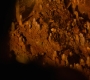 HOTN10_1597.jpg