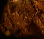 HOTN10_1598.jpg