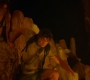 HOTN10_1603.jpg