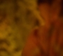 HOTN10_1618.jpg
