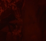 HOTN10_1632.jpg