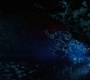 HOTN10_1644.jpg