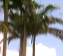 HOTN10_1740.jpg