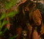 HOTN10_1744.jpg