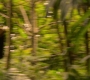 HOTN10_1754.jpg