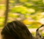 HOTN10_1756.jpg