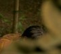 HOTN10_1762.jpg