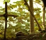 HOTN10_2028.jpg