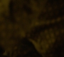 HOTN3_0461.jpg