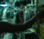HOTN3_0765.jpg