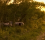 HOTN4_0027.jpg