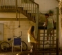 HOTN4_0827.jpg