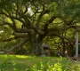 HOTN4_0986.jpg