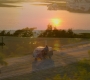 HOTN4_1090.jpg