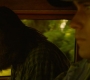HOTN4_1113.jpg