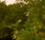 HOTN6_0313.jpg