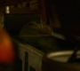 HOTN6_0331.jpg