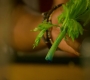 HOTN6_0445.jpg