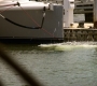 HOTN6_0503.jpg