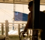 HOTN6_0505.jpg