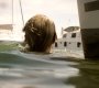HOTN6_0508.jpg