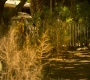 HOTN6_0601.jpg