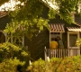 HOTN6_0614.jpg