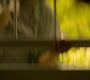 HOTN6_0616.jpg