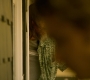 HOTN6_0625.jpg