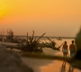 HOTN6_0768.jpg