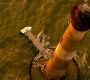 HOTN6_0774.jpg