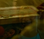 HOTN6_1206.jpg