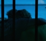 HOTN6_1286.jpg