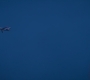 HOTN6_1315.jpg