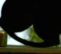 HOTN7_0593.jpg