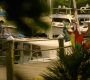 HOTN7_0762.jpg