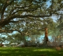 HOTN9_0014.jpg