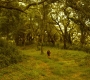 HOTN9_0207.jpg