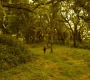 HOTN9_0208.jpg