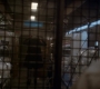 1x06_0637.jpg