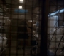1x06_0638.jpg