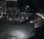 1x06_0902.jpg