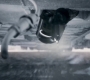 1x06_0914.jpg