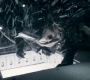 1x06_0984.jpg