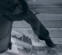 1x06_0988.jpg
