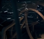 1x06_0992.jpg
