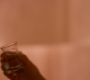 1x07_0426.jpg