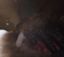 1x07_0679.jpg