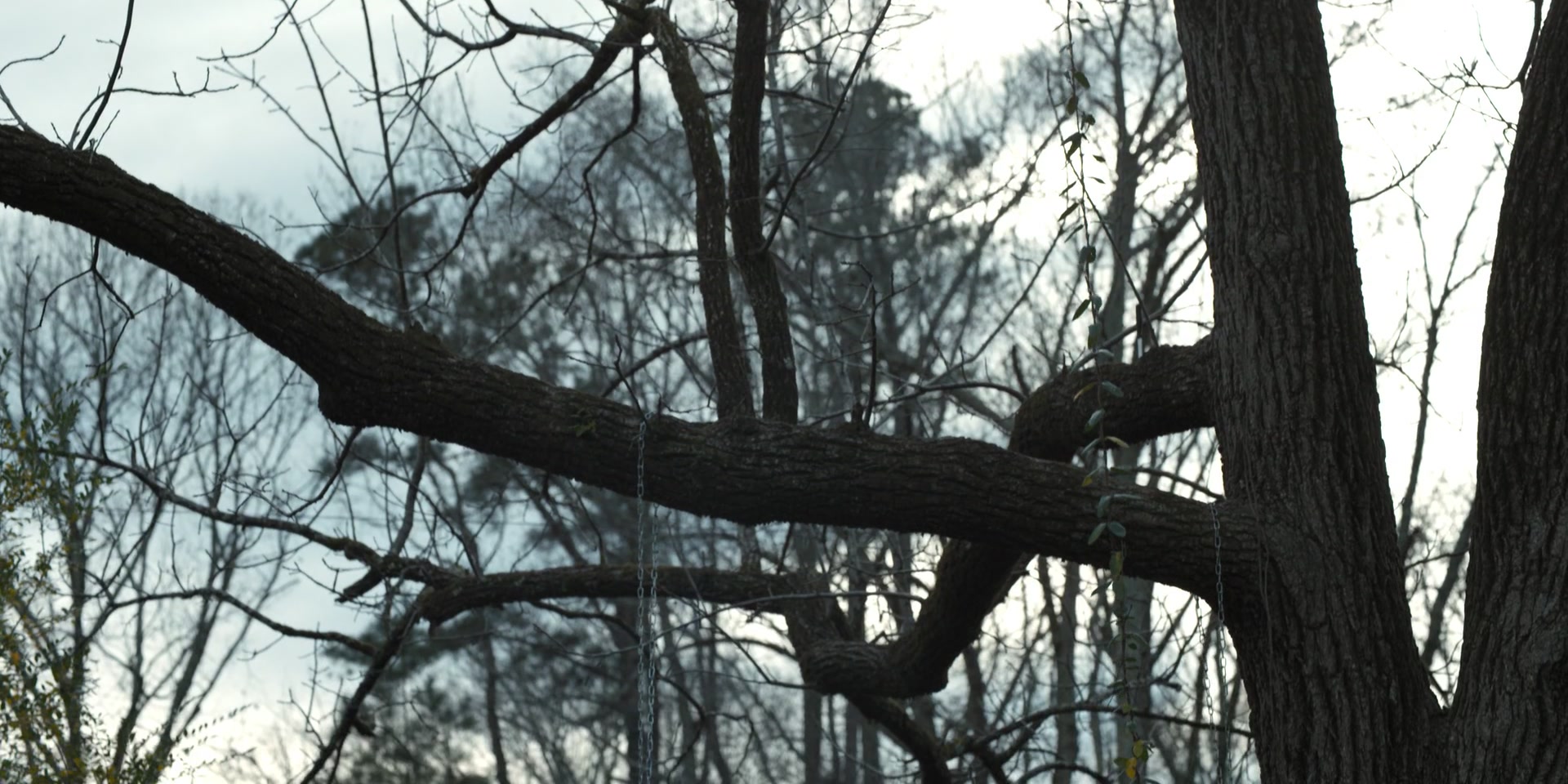 1x03_0179.jpg