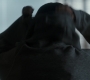 1x03_0109.jpg